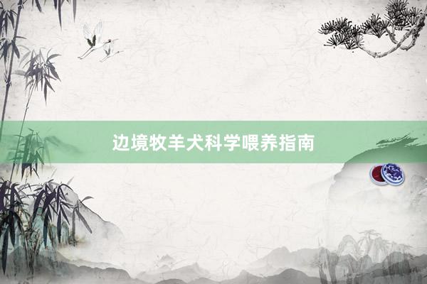 边境牧羊犬科学喂养指南