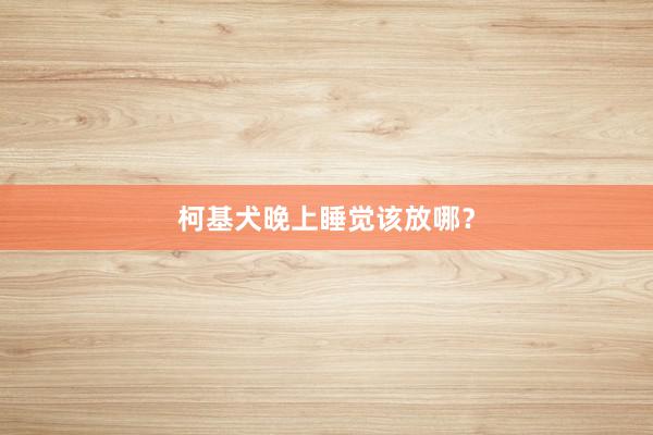 柯基犬晚上睡觉该放哪？