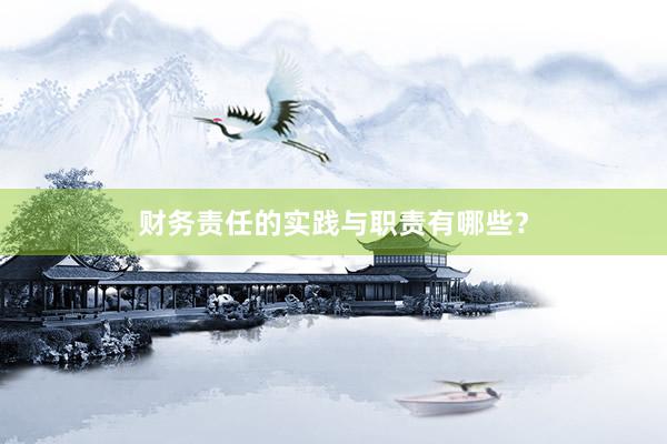 财务责任的实践与职责有哪些？