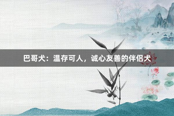 巴哥犬：温存可人，诚心友善的伴侣犬